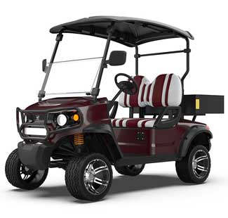 2 Seater Electric Utility Golf Pickup