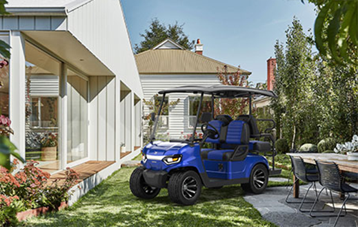 Electric Golf Buggy