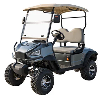 GD 2 Seater Electric Lifted Golf Cart