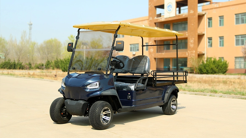 2 Seater Electric Utility Golf Pickup