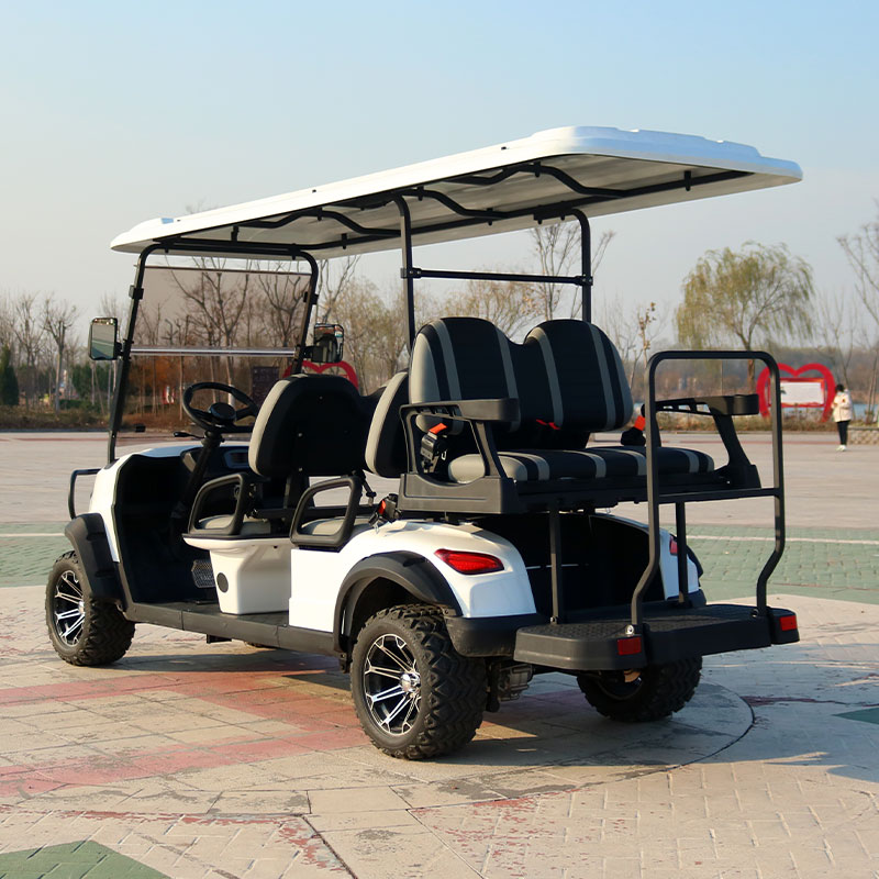 EcoDrive Electric Golf Cart