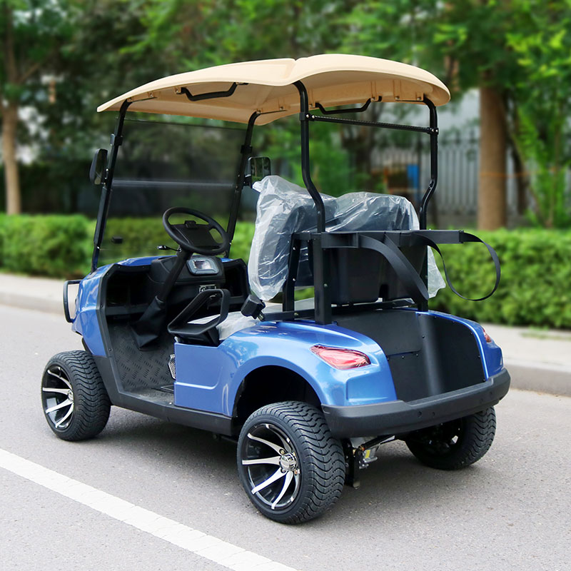 Electric Golf Cart