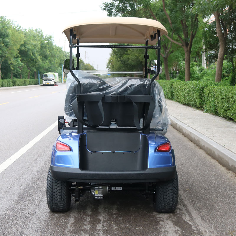 Electric Golf Cart