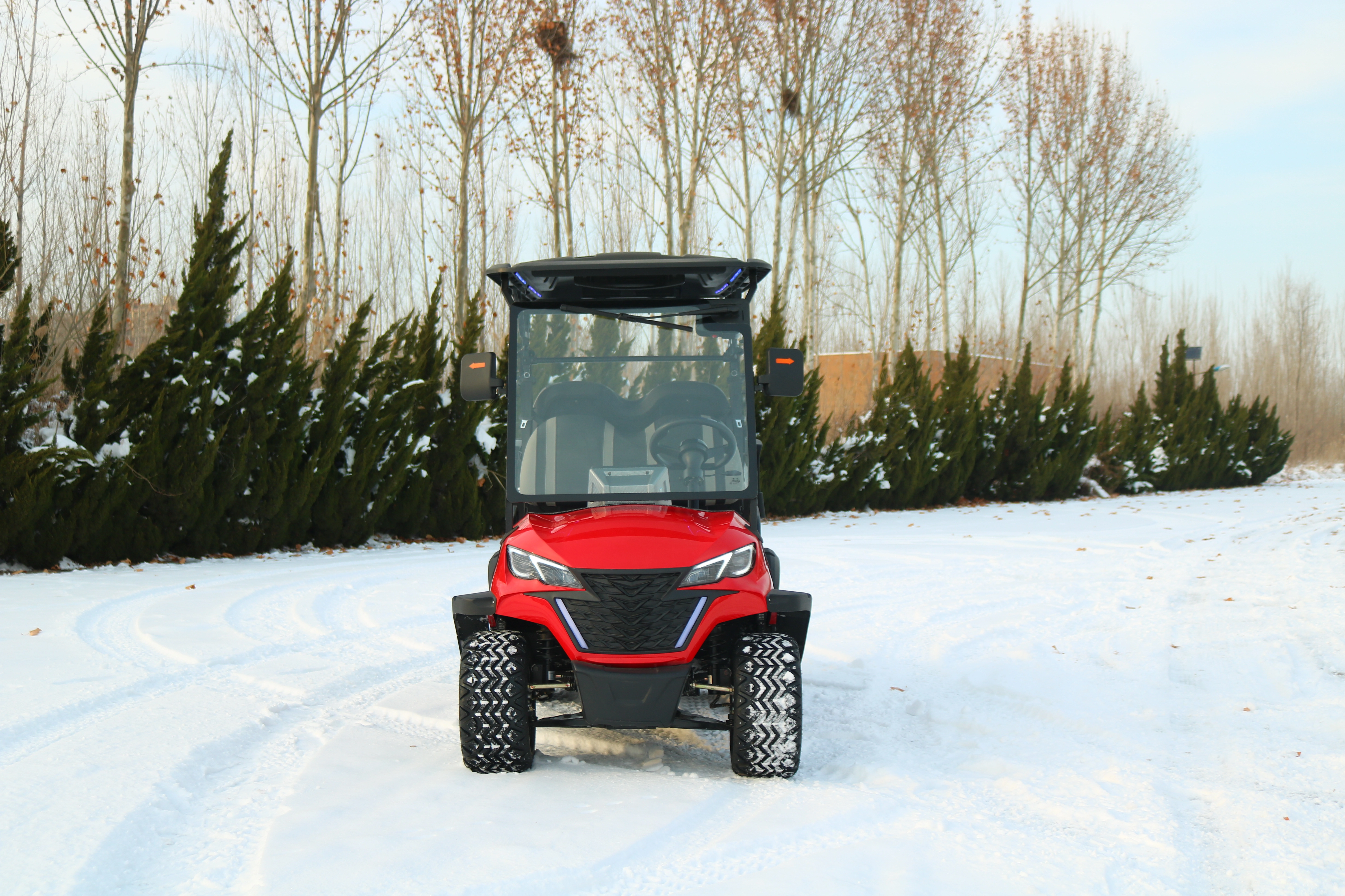 Kinghike Golf Cart - Redefining Luxury on the Green