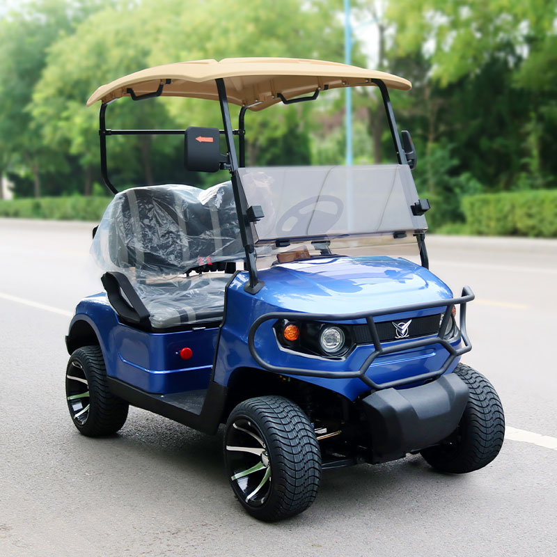 2 seater golf cart