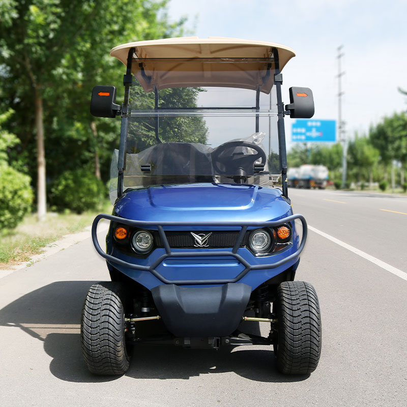 2 seater golf cart