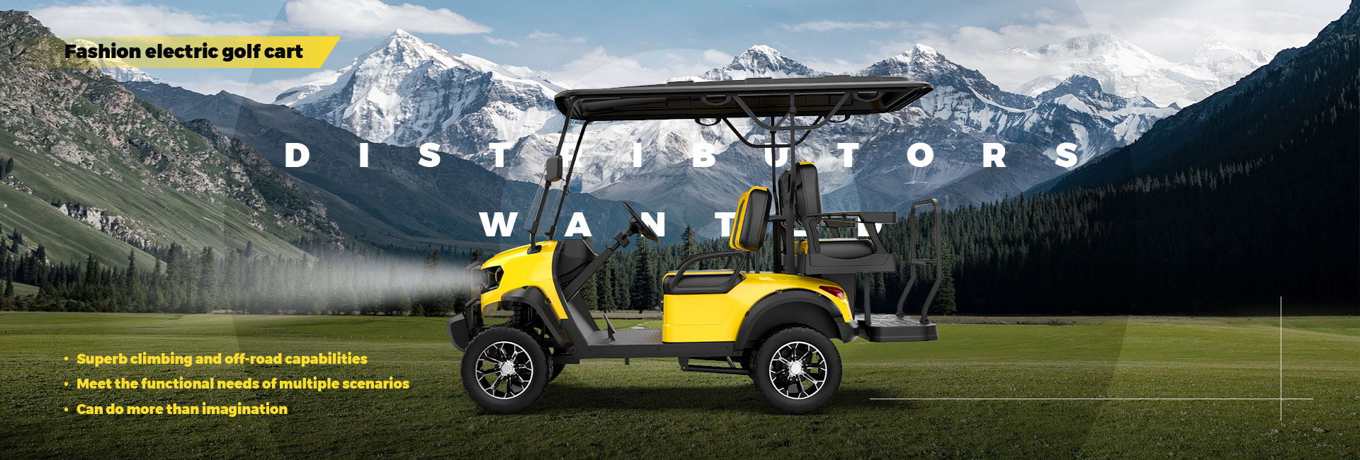 electric golf cart