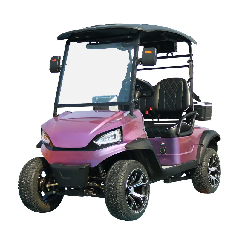 2 Seater Golf Buggy